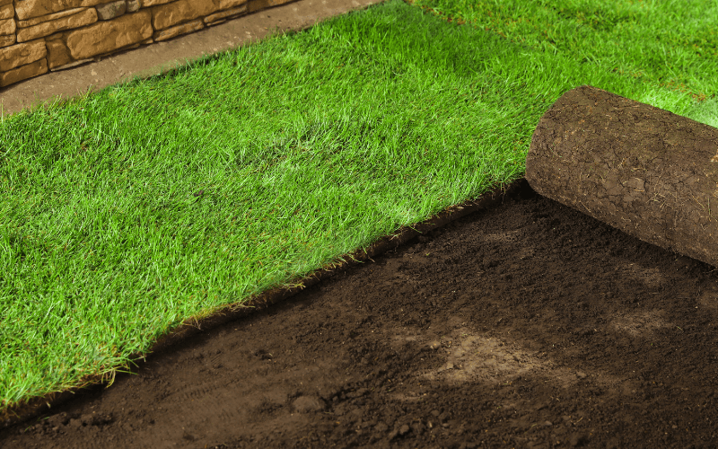 Sod Installation Services in Santa Clarita, CA