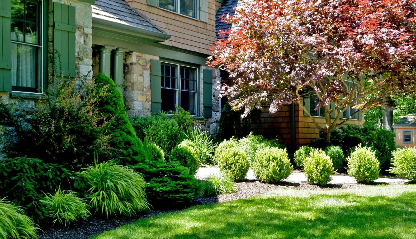 Tree & Shrub Planting Services in Santa Clarita, CA